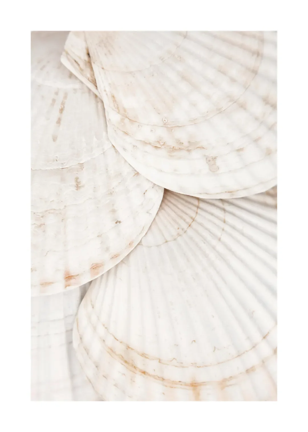 Tropical Blue Sea and White Sand Beach Canvas Wall Art