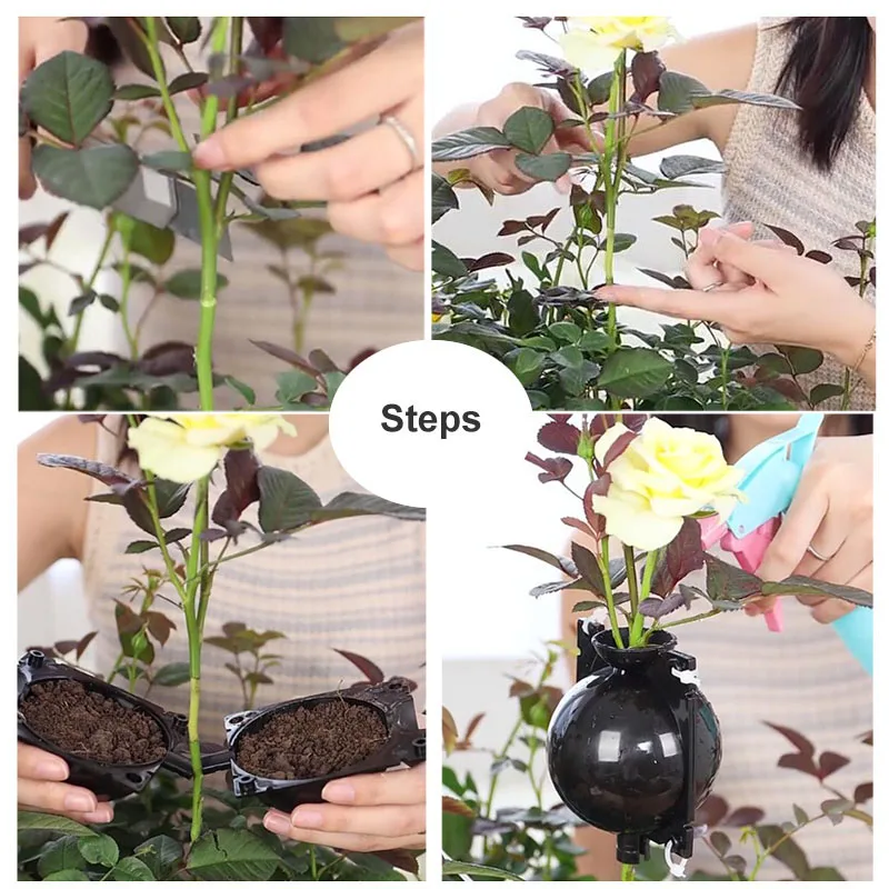 Plant Rooting Box Plant Rooting Pot 1pcs 10pcs 5cm Plant Rooting Ball Nursery Root