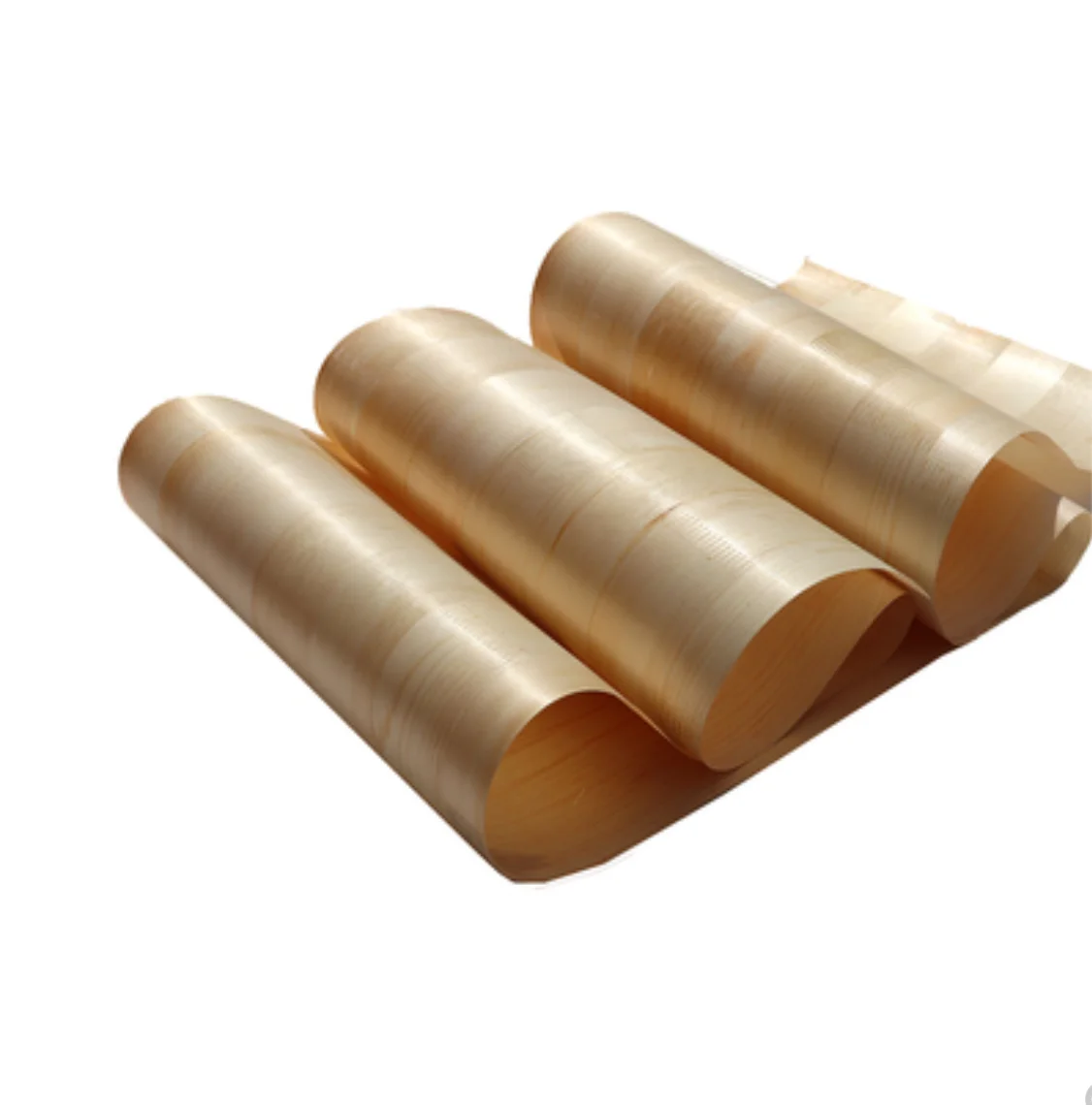 Рисунок 6 - Размер: 2,5x0,58 м