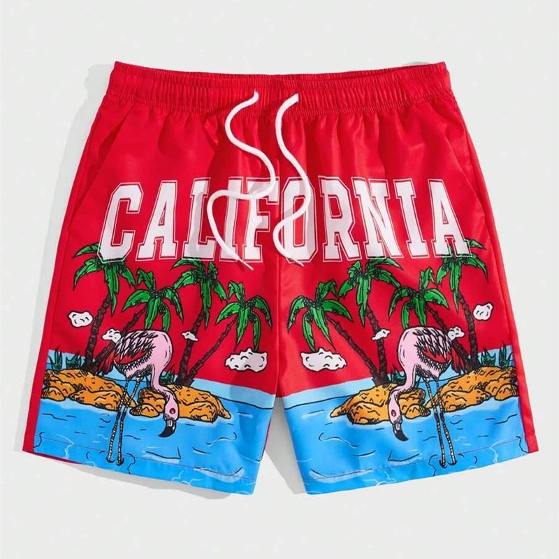 Holiday Style 3d Printed Shorts For Men's Outdoor Sports Surfing Board Shorts Fashion Leisure Trend Quick Drying Short Pants 2