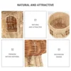Rattan Mushroom Basket Woven Storage Bins Portable Desktop Adornment Trash Can Shape Photo Prop Containers Home ganization 4