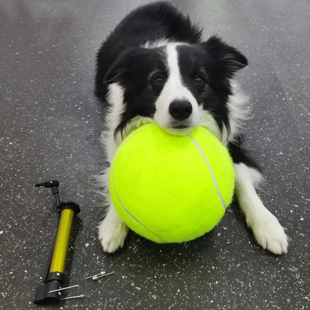 9.5 Inch Dog Tennis Ball Outdoor Sports Dog Chew Training Ball with Inflating Pump Funny Giant Pet Toys Outdoor Cricket Toy