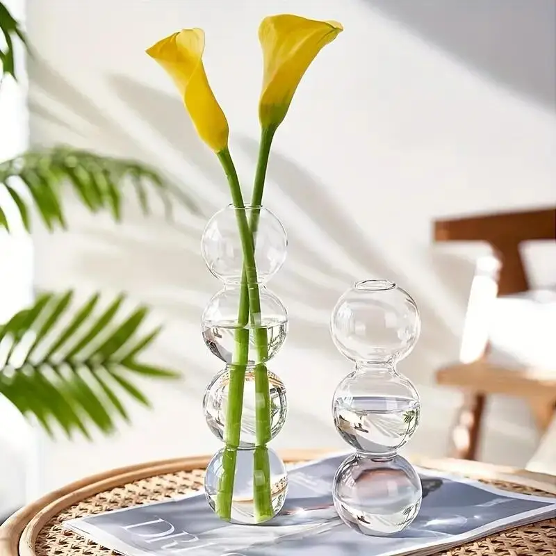 Creative Glass Bubble Vase Transparent Decoration