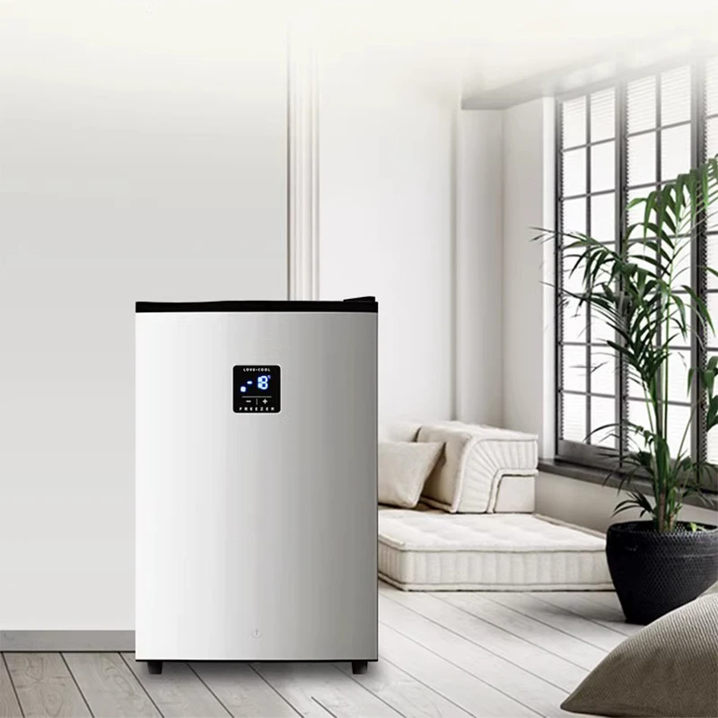 BD-60 petit congélateur vertical ménage économiseur d'énergie congélateur  tiroir réfrigérateur à une porte - AliExpress