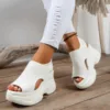 Thick Soled Sandals Mesh Breathable Fish Mouth Sloping Heel Shoes 1