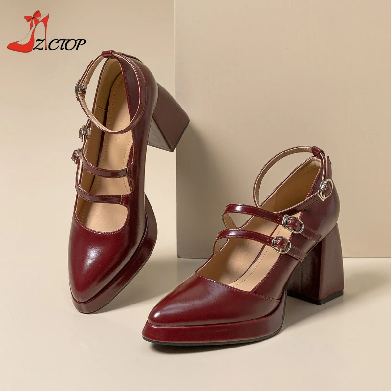 

Pointed Toe Thick Heel Pumps for Women 2024 Spring Red Mary Jane Shoes Vintage Buckle Strap Platform High Heels Party Prom Shoes