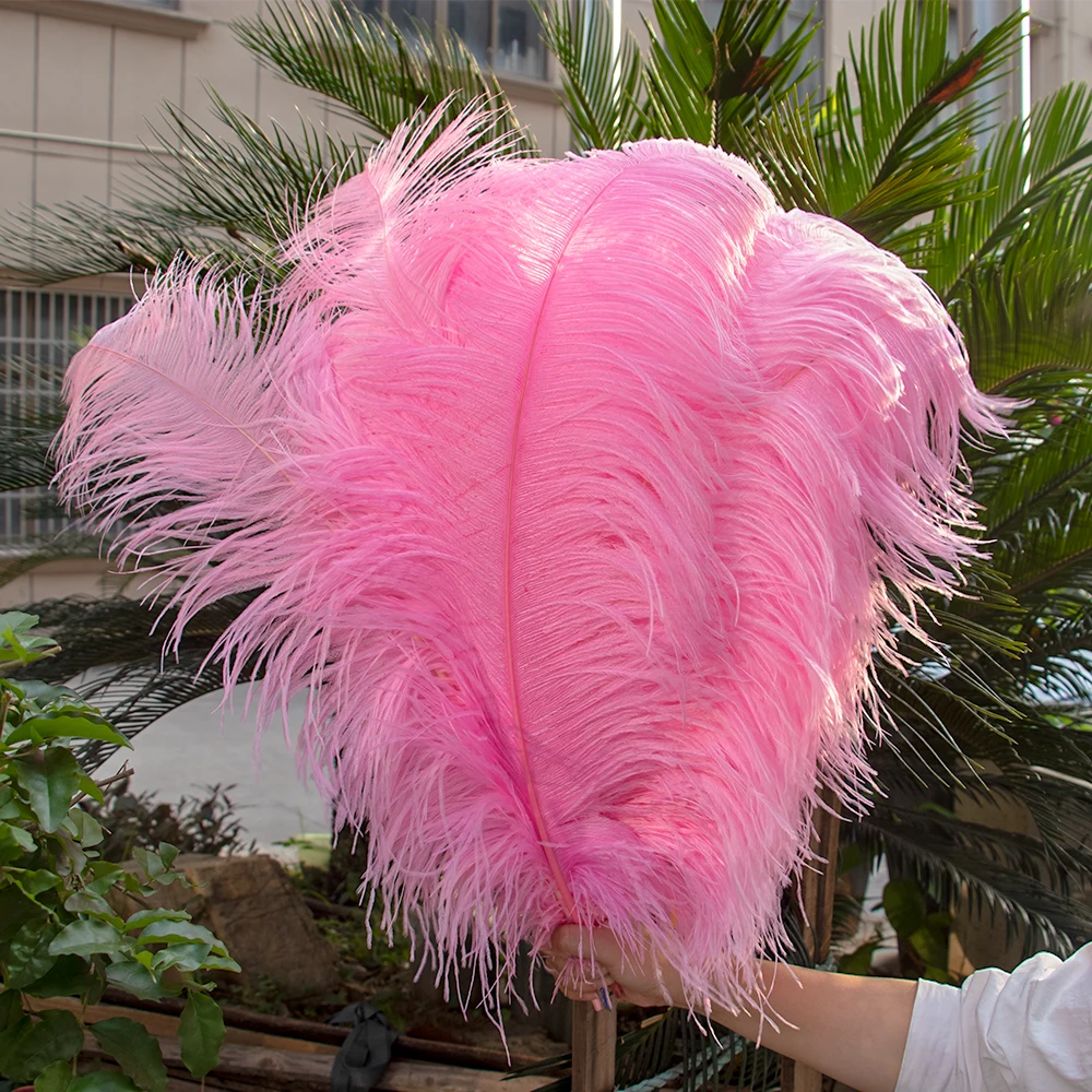Real Ostrich Feather Pink for Crafts Wedding Party Decor Plumes Ostrich Table Centerpieces Colored Feathers Decoration 10Pcs/Lot ostrich feathers,mixed color feathers,craft feathers,natural feathers