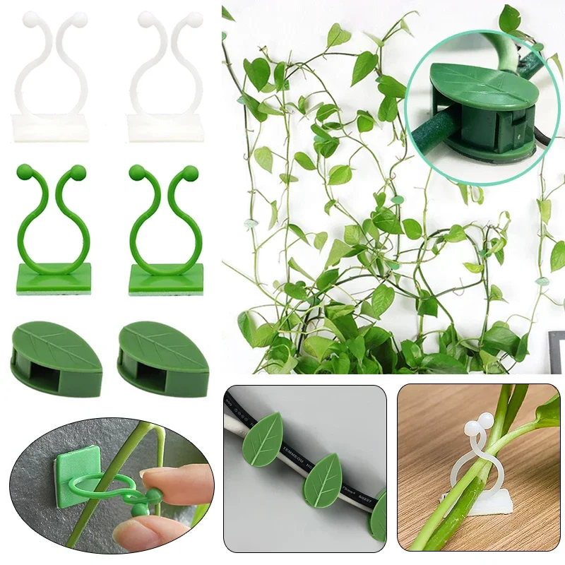 Plant Climbing Wall Fixture Clip Plant Wall Climbing Hooks Rattan Wall Holder Hook Plant