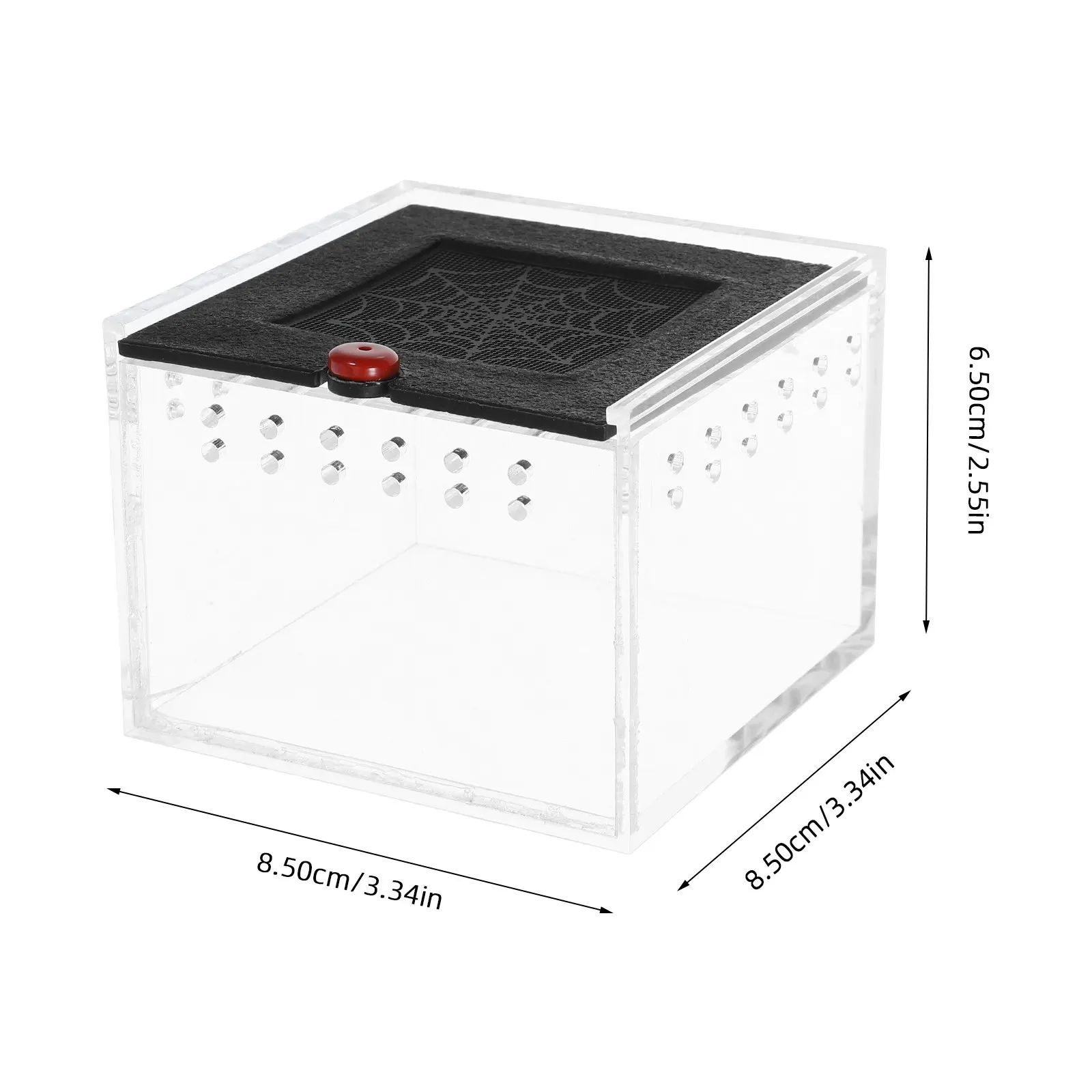 1Pcs 파충류를위한 아크릴 애완 동물 사육 상자 작은 동물 환기 구멍 편안한 환경 거미 전갈 먹이통