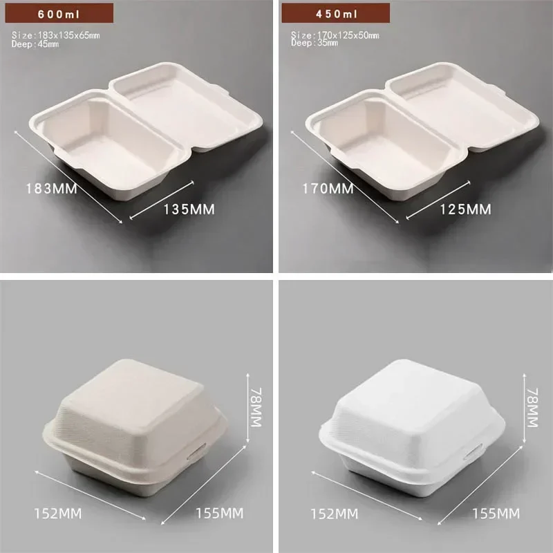 Eco-Friendly Disposable Bento Lunch and Party Packaging Box