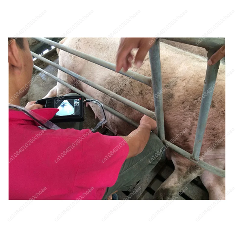 1800A Portable veterinary ultrasound scanner for animal pregnancy test, suitable