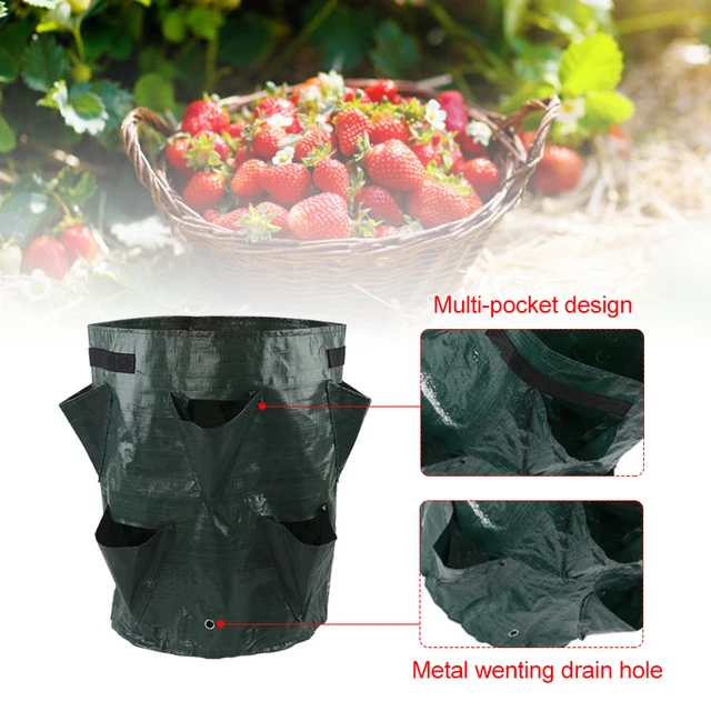 10/7/10 Gallonnövelés Táska Újrafelhasználható Ültetési Üvegházhatású Zöldség Eper Termesztési Kert Erkélyek Virág Ültetvényes Edény - Image 3