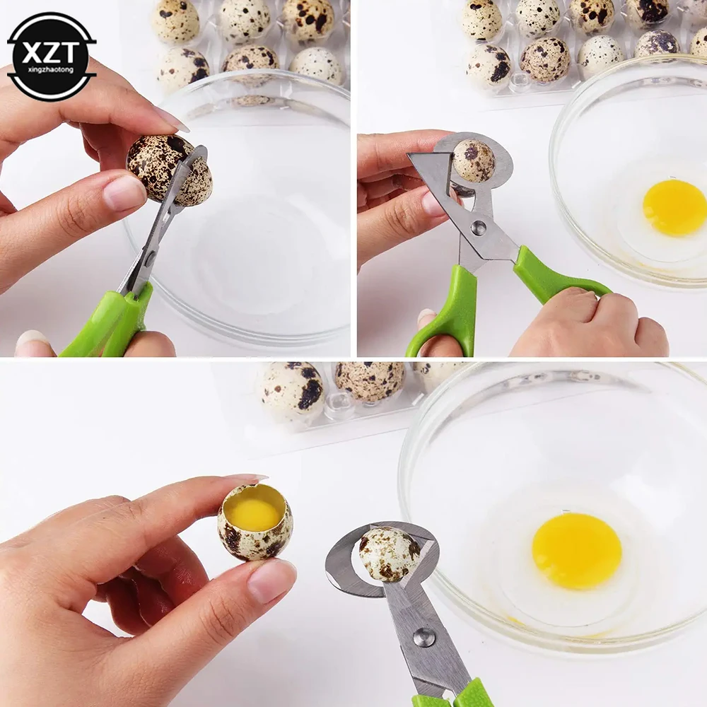 Stainless Steel Quail Egg Opener Cutter Scissors for Quail Egg Bird Kitchen Clipper Tool Accessories