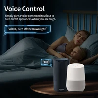 TNCE Tuya Wifi/Zigbee3.0 Smart Socket EU Plug 16/20A Power Monitor Remote Control Smart Life APP Remote Control Alexa - Image 4