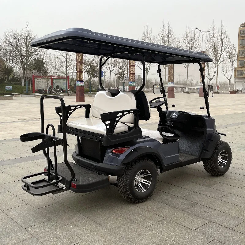 High Quality Factory Directly Produced Adult Electric Golf Cart With Sun  Shade And Rain Curtain Folding Seat Bag Holder