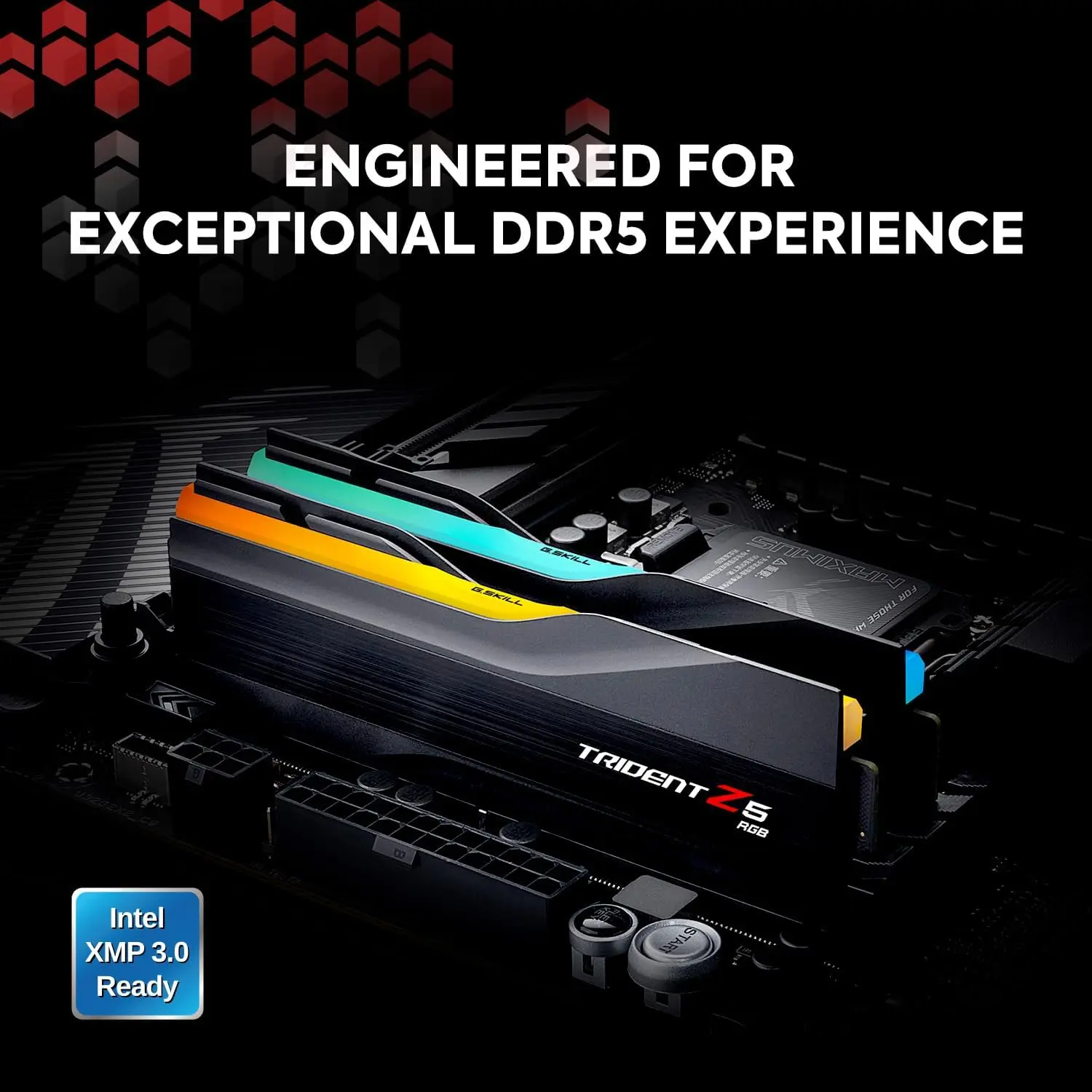 G.SKILL Trident Z5 RGBシリーズ (Intel XMP 3.0) DDR5 RAM 32GB