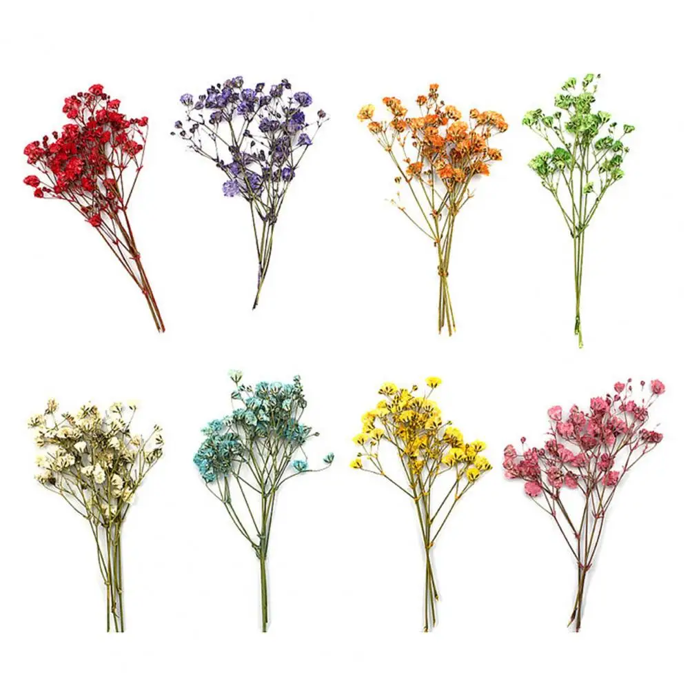 Affascinanti mazzi di fiori secchi portatile Gypsophila essiccato Bouquet da sposa Vivid Colorful Baby Breath Flowers for Home
