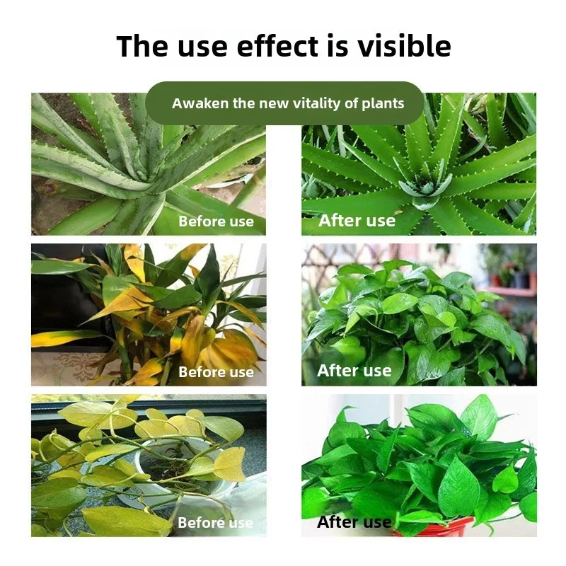 Taiwan Green Plant Flower Nutrient Solution Universal Aqueous Liquid Fertilizer Flower Fertilizer Hydroponic Plant Money
