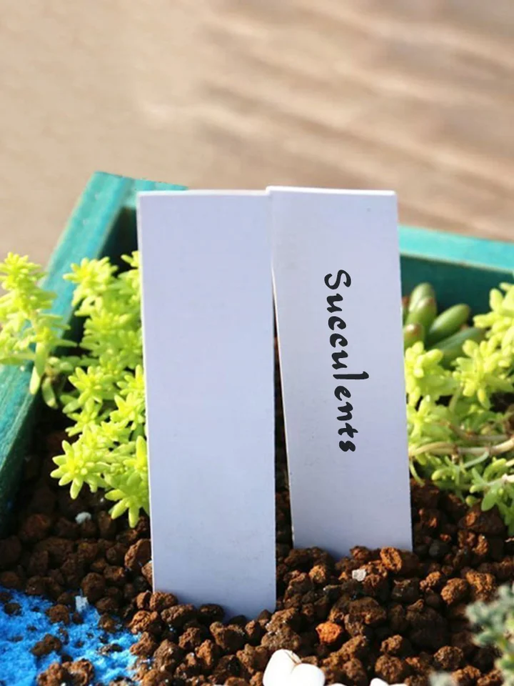 Darfukei 300 Etichette Per Piante In PVC Con Pennarello Indelebile - Cartellini Impermeabili Per Giardino E Orto