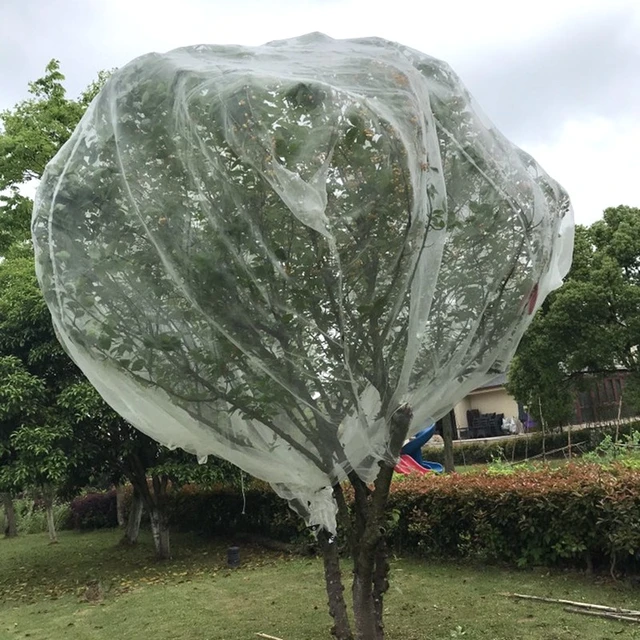 Filets De Jardin Épais De Grande Taille, Cage D'arbre À Fruits