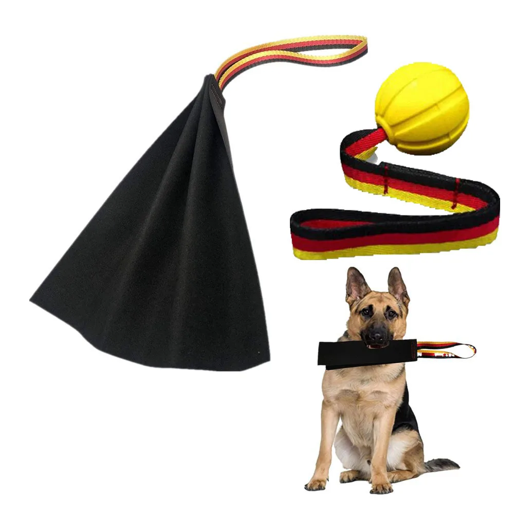 Horse Training Supplies Dog Training Supplies Horse Training Bits