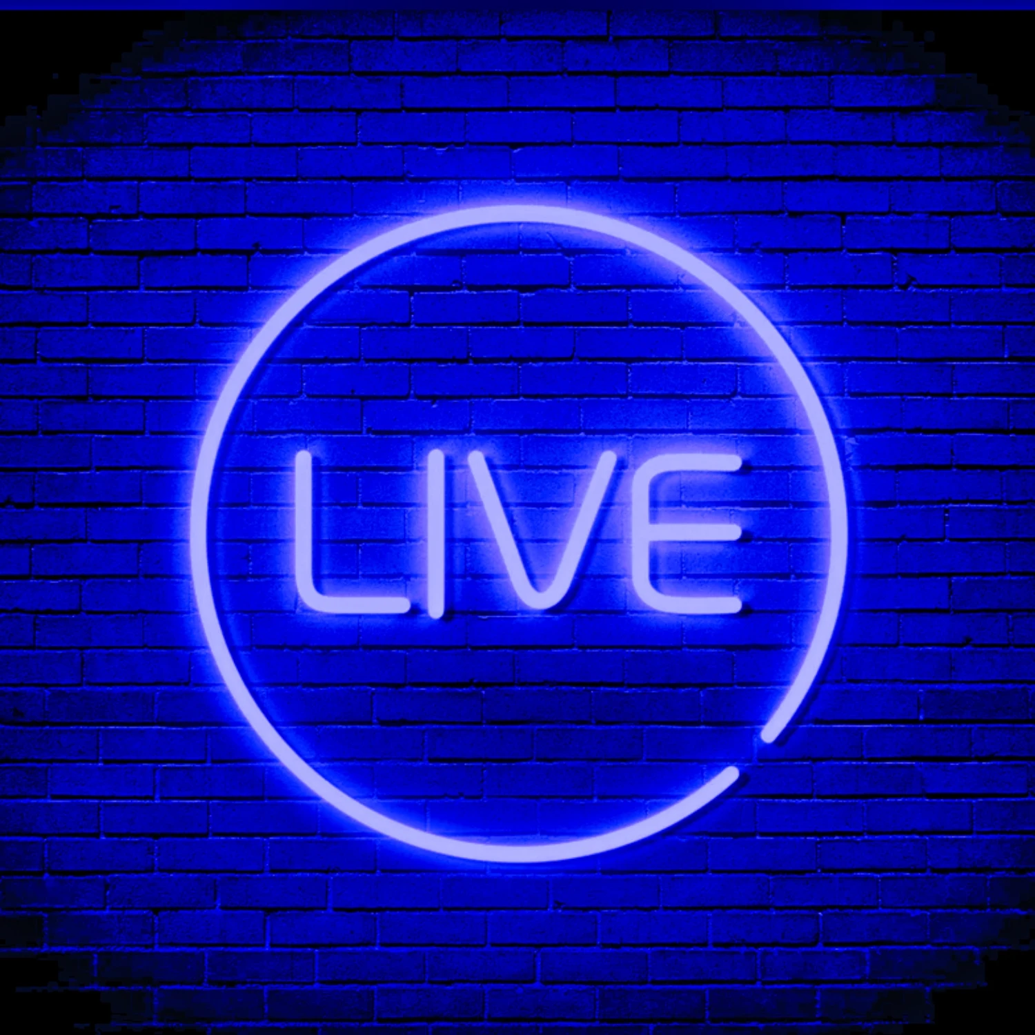 Description Picture 2 of itemLive LED Neon Sign Design Home Ooffice Game Room Bar Club Boys Bedroom Gift Holiday Decoration Ambient Lighting ART Neon Light