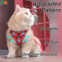 Cat Harness and Leash Set