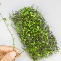 1 Box Scene Model Micro Landscape DIY Miniature Plant Creepers Simulation Rattan Leaves Sand Table Vegetation Fairy Garden - Image 3