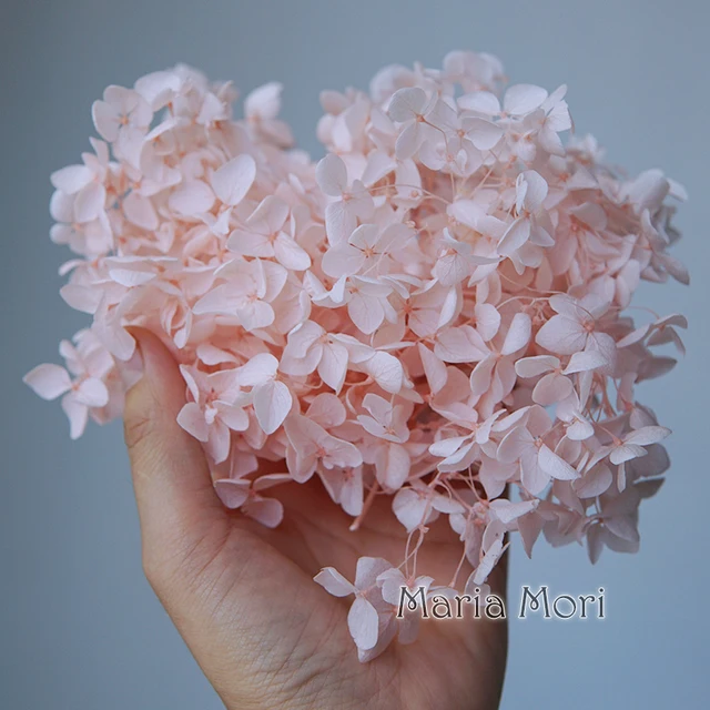Anna Hydrangea  Flowers  Little  Leaves Preserved Hydrangea Decor  Office Decor  DIY Flowers Color 10