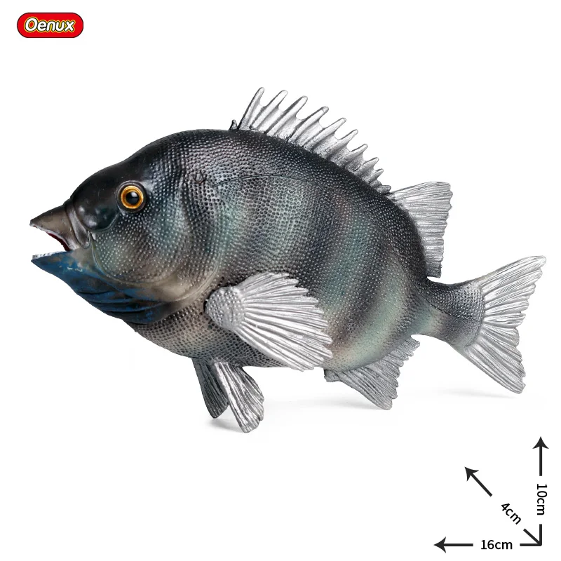 Oenuxシミュレーション海の生物動物魚モデルアクション