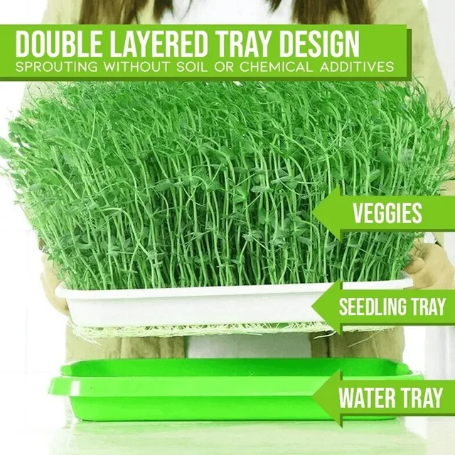 Natural Cat Grass Sprouting Tray Growing Kit Organic Wheat Grass Seeds Digestive Hairballs Hydroponic Potting Soil Set 2