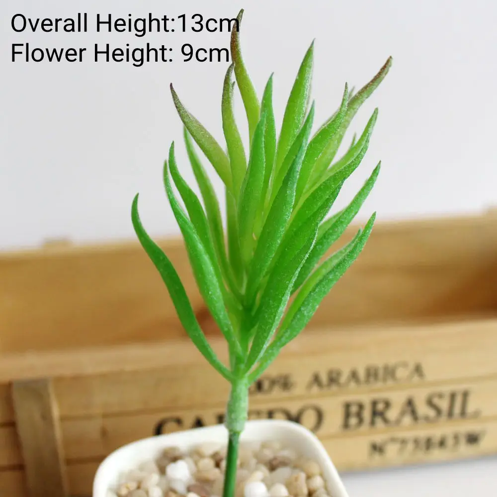 Vibrant Multicolor Flocking Succulent Plants