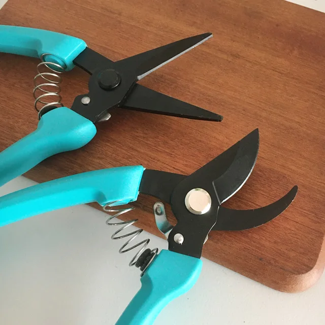 Garden Scissors with Black Oxide Coated Pruning Shears Horticultural Pruner for Flowers Shrubs Trees Branches Orchard Trimming 3