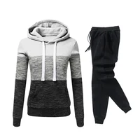 Hot Sales Daily Women's Tracksuit Hoodies Long Sleeves Casual Single Piece Sweatshirts Sweatpants Comfort Outdoor Jogging Sports - Image 2