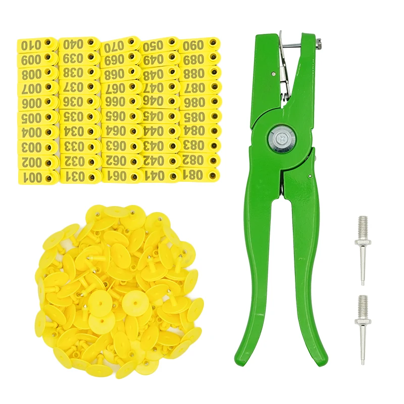 Yellow with numbers