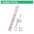 Sunshine 1Pc