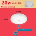20W Sensor light