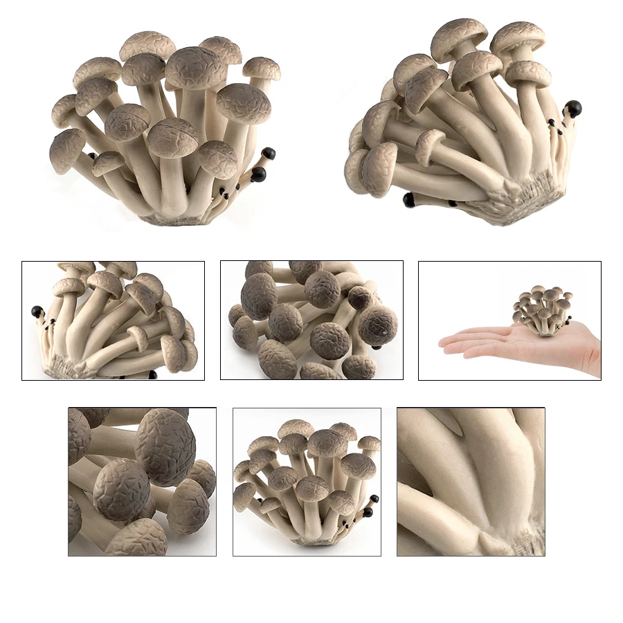 Realistische Gemüsemodellfiguren Kohl, Karotte, Zwiebel, Spinat, Mais, Butterbur, Sojabohnen, pädagogisches kognitives Lernspielzeug – Detail 32