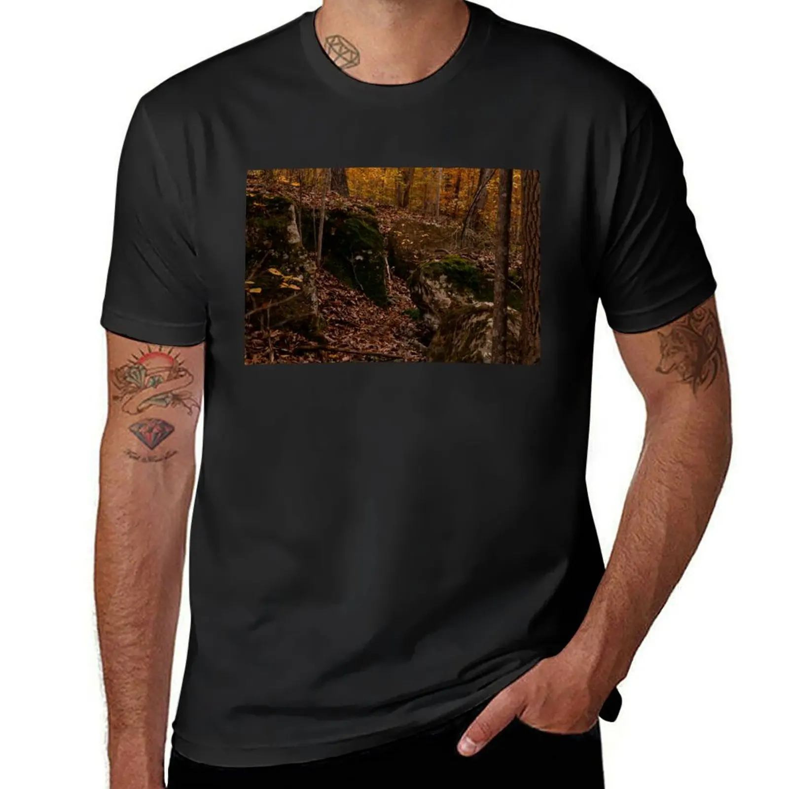

A Rock Formation in Fall T-Shirt aesthetic clothes quick-drying tees mens funny t shirts
