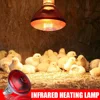 250W Poultry Infrared Heat Lamp Waterproof Anti-Explosion Thickened Light Bulbs ​For Piglet Chicken Duck Birds E27 Heating Lamp 2