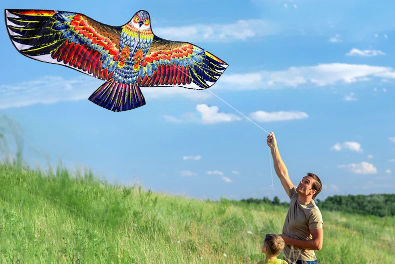 Outdoor Eagle Kite 1.6m With Handle And Line Good Flying eagle kite