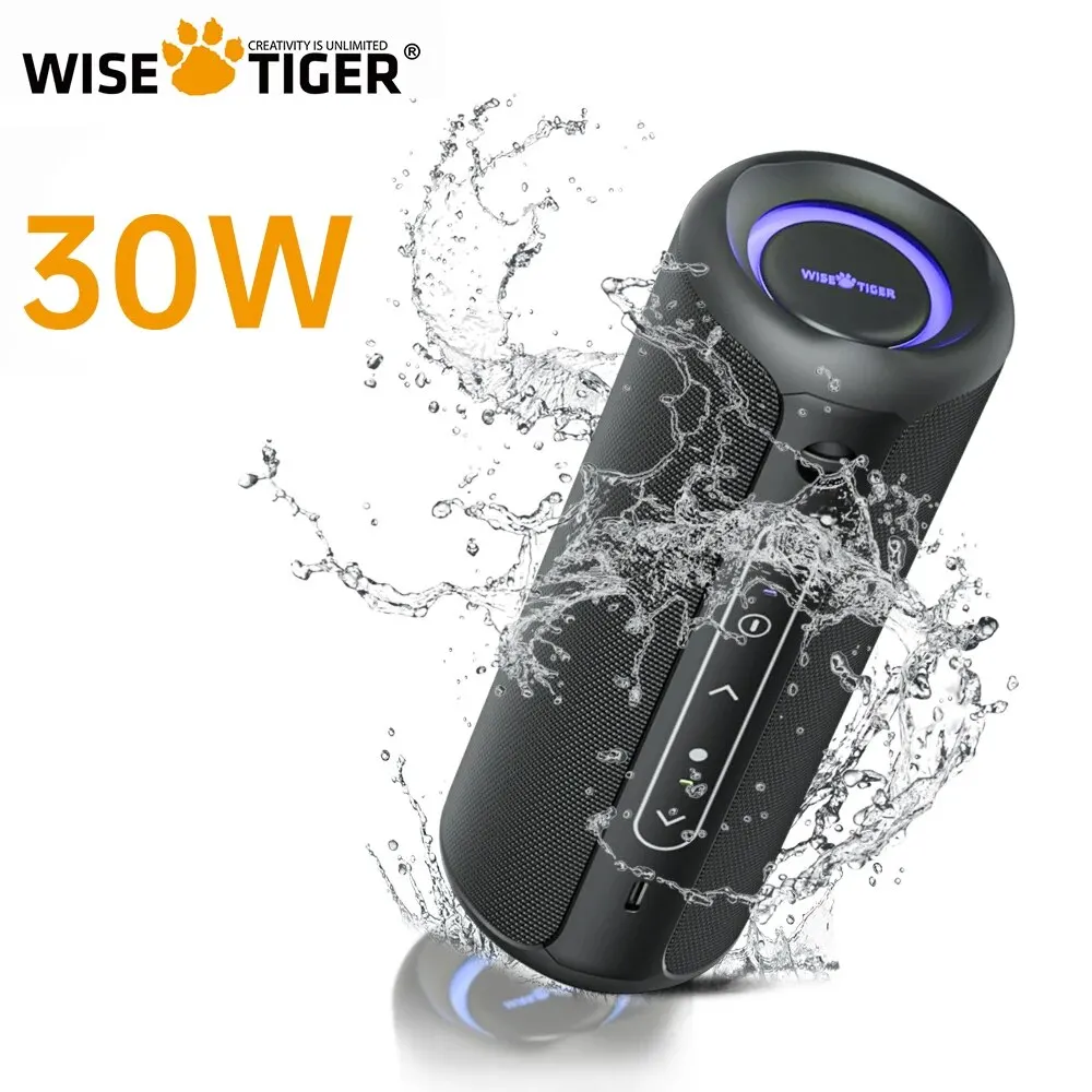 WISETIGER P3 przenośny głośnik Bluetooth 30W zewnętrzny IPX7 wodoodporny Bass Boost Sound Box TWS podwójne parowanie BT5.3 światła RGB