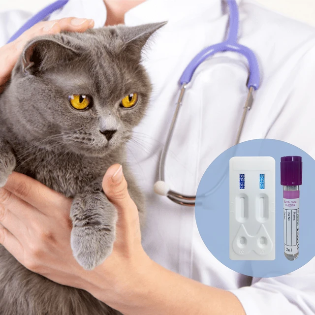 Monggo Q Pet Macska Gyors Fiv/Felv Leukémia Kiegészítő Diagnosztikai Egészséges Tesztelő Készlet Macskákhoz 10 Csomagolt, - Image 6
