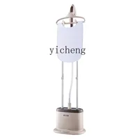 Zz hanging iron household high-power small vertical steam iron ironing clothing store 1