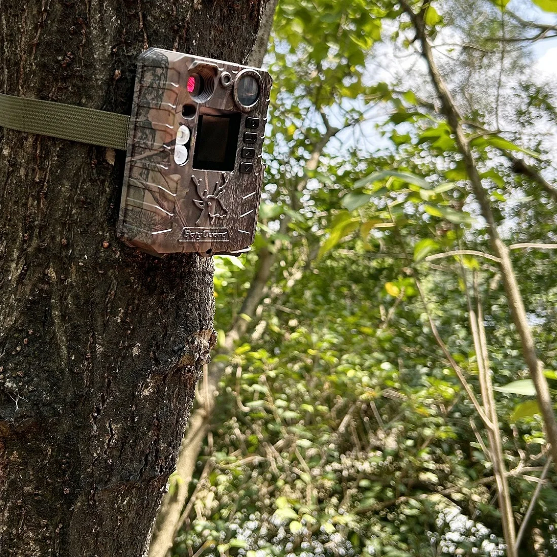 BolyGuard 4K Trail Camera 5