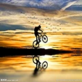 JACK Bicycle Store