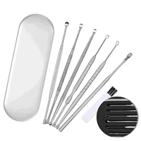 Toothpick Case Stainless Steel Ear Spoon Headset Wax Remove Tool Cleaning Kit Silver Professional Earwax Scoops Man 1