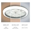 LED Ceiling Fan Light Simple and Cool Style Remote Control with Infinite Dimming 6 Levels of Wind Speed Living Room Bedroom 4