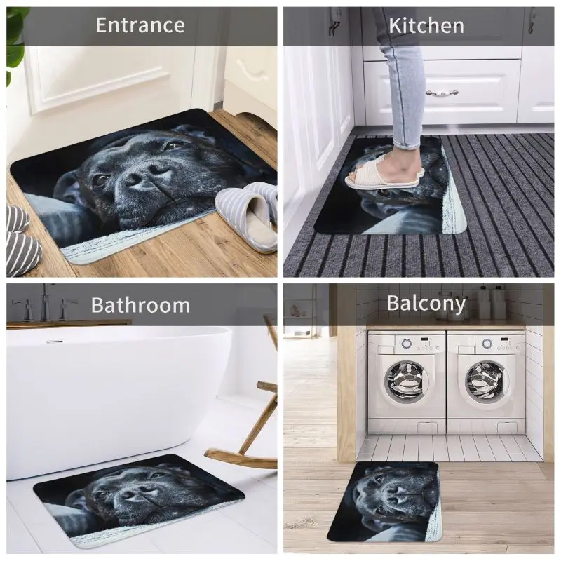 Staffordshire Bull Terrier Dog Mat Kitchen Bath Floor Doormat Outdoor Cute  Love Garage Footpad Carpet Living