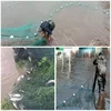 Small Mesh Fishing Net Length 5m to 100m Foldable Fishing Net 1 Fingue Mesh Monofilament Nylon Catching Fish Net Netting Tool 6